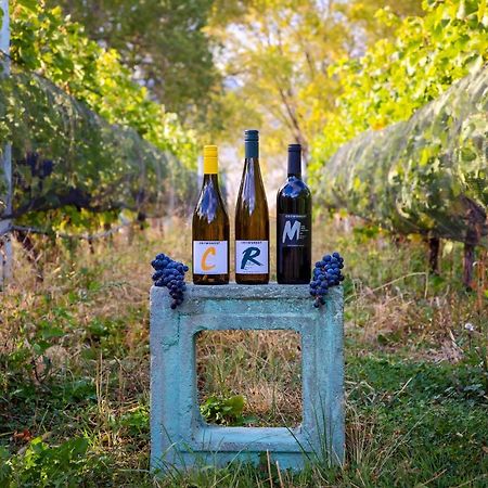 Crowsnest Vineyards Guesthouse Cawston Eksteriør billede