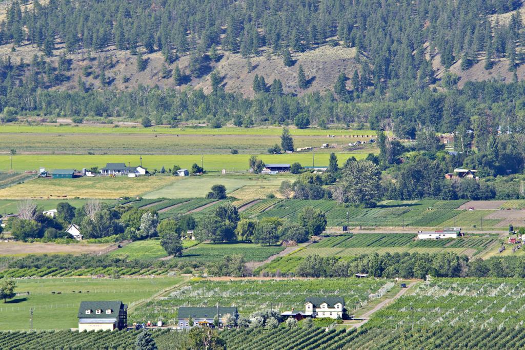 Crowsnest Vineyards Guesthouse Keremeos Eksteriør billede