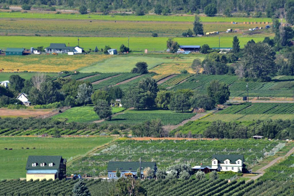 Crowsnest Vineyards Guesthouse Keremeos Eksteriør billede