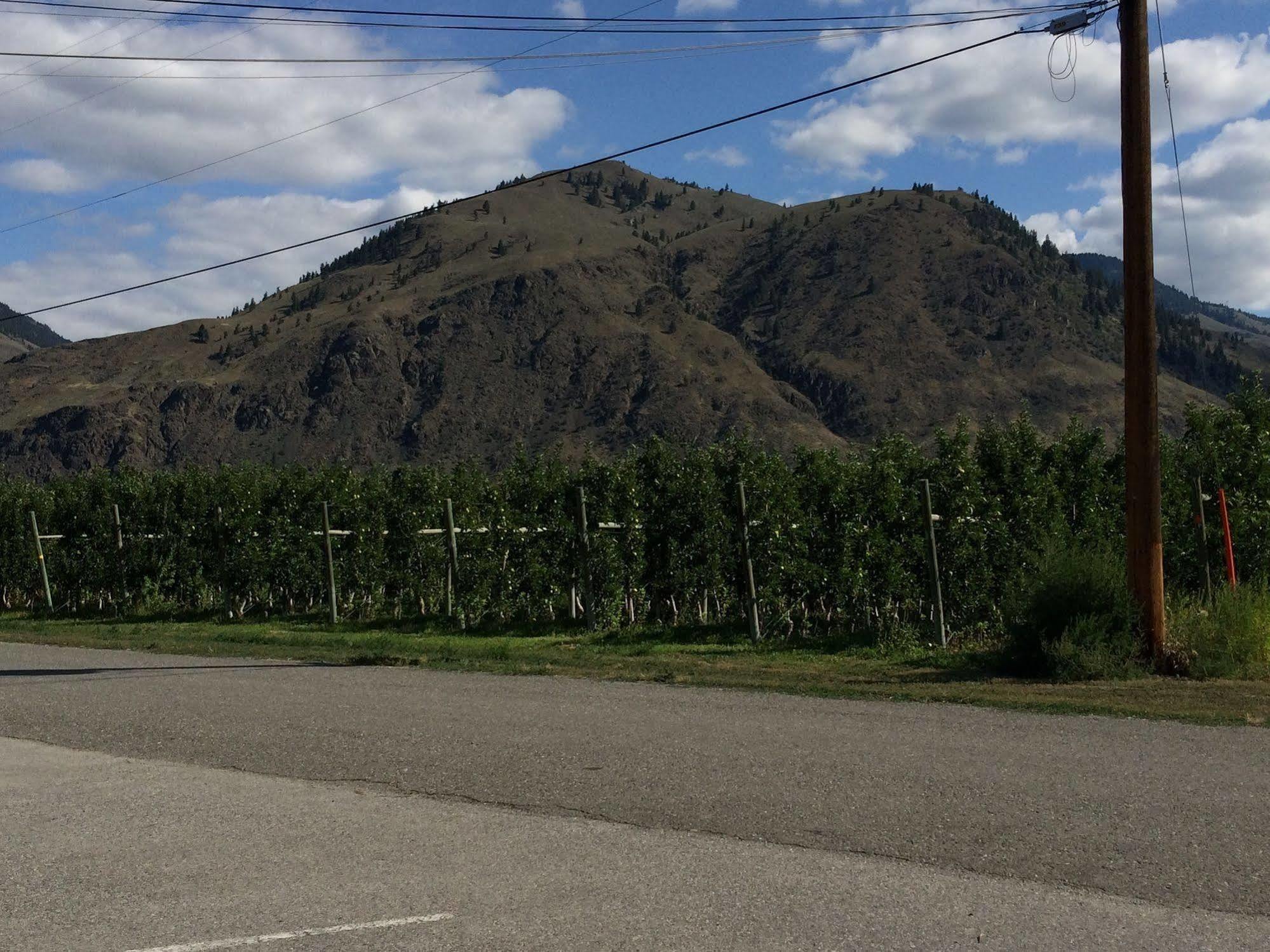 Crowsnest Vineyards Guesthouse Cawston Eksteriør billede